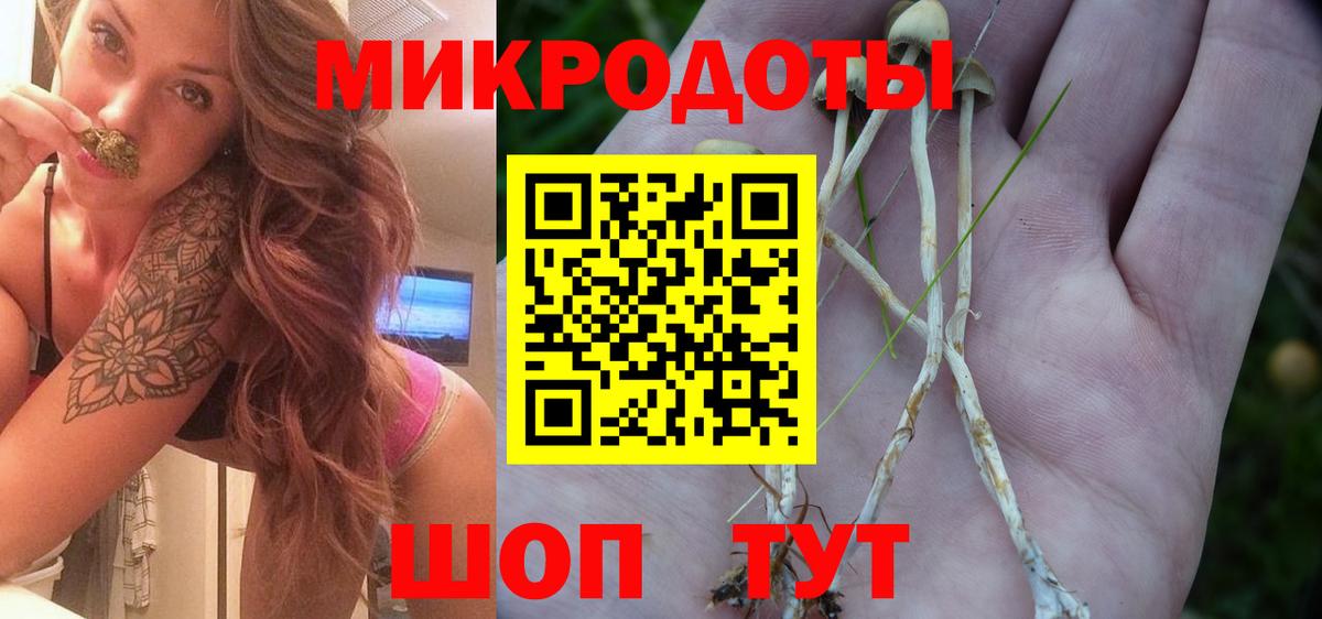 Гусиноозёрск  Псилоцибиновые грибы MAGIC MUSHROOMS  Вход с VPN  Галлюциногенные грибы Magic Shrooms 